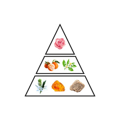 Emerald fragrance notes pyramid by Faridah Gems Collection showing fresh top floral heart and woody base