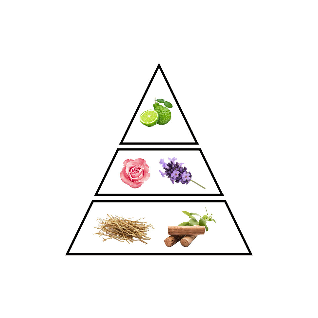 Air fragrance notes pyramid - Bergamot and Citrus top, Rose and Jasmine heart, Vetiver and Sandalwood base