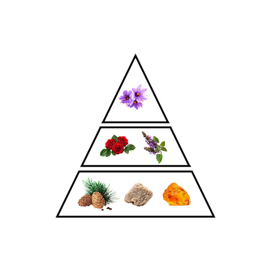 Fire fragrance notes pyramid - Saffron and Rose top, Violet and Patchouli heart, Musk and Amber base