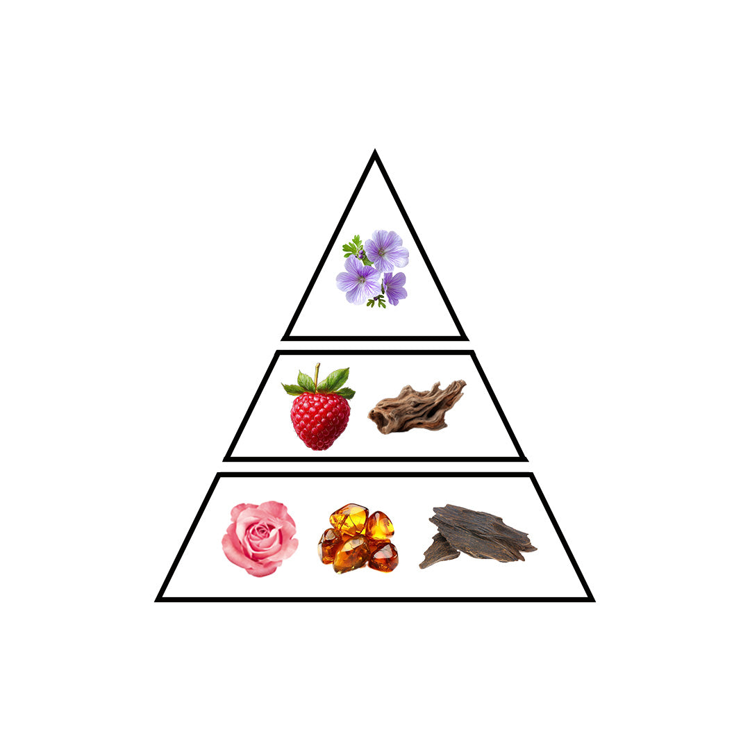 Ruby fragrance notes pyramid by Faridah Gems Collection showing aromatic top heart and base notes