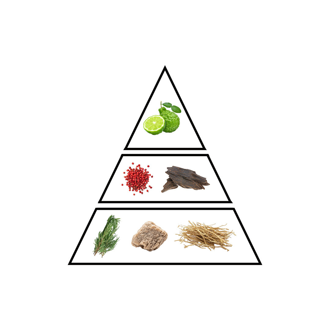 Sapphire fragrance notes pyramid by Faridah showing top heart and base note ingredients