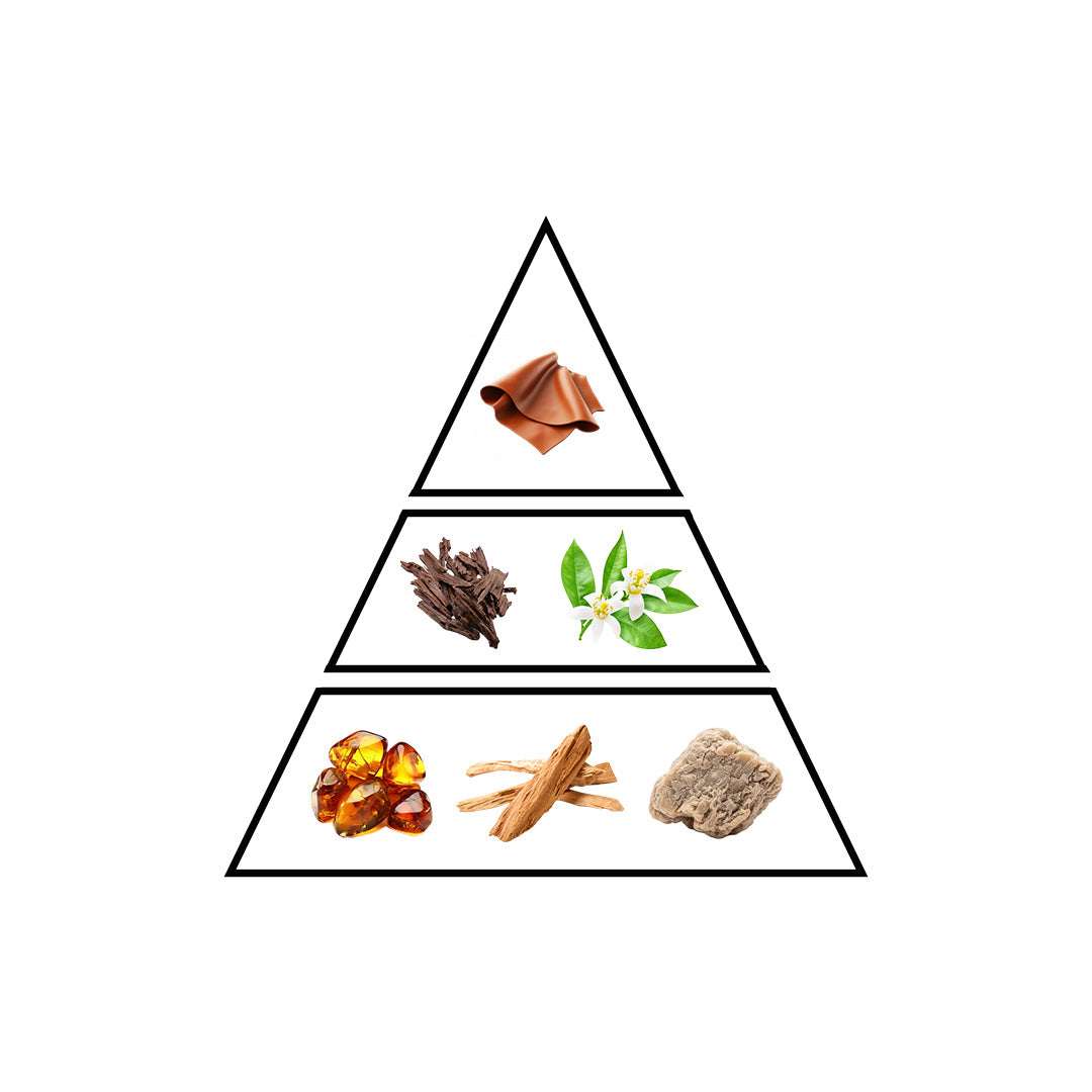 Topaz fragrance notes pyramid showing citrus top, floral heart and woody base notes
