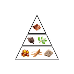 Topaz fragrance notes pyramid showing citrus top, floral heart and woody base notes